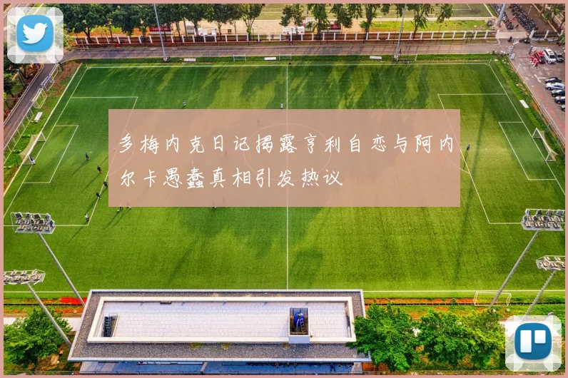 多梅内克日记揭露亨利自恋与阿内尔卡愚蠢真相引发热议